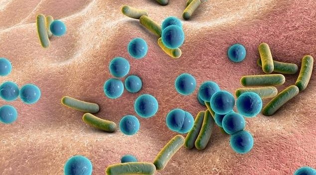 什麼是扁平苔癬