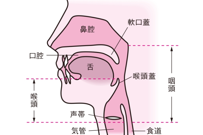 口腔期不滿足原因