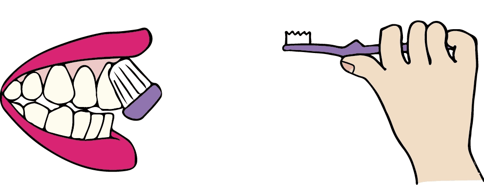 貝氏刷牙法​重點