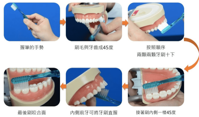 貝氏刷牙法​定義