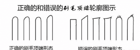 挑選牙刷的一般原則